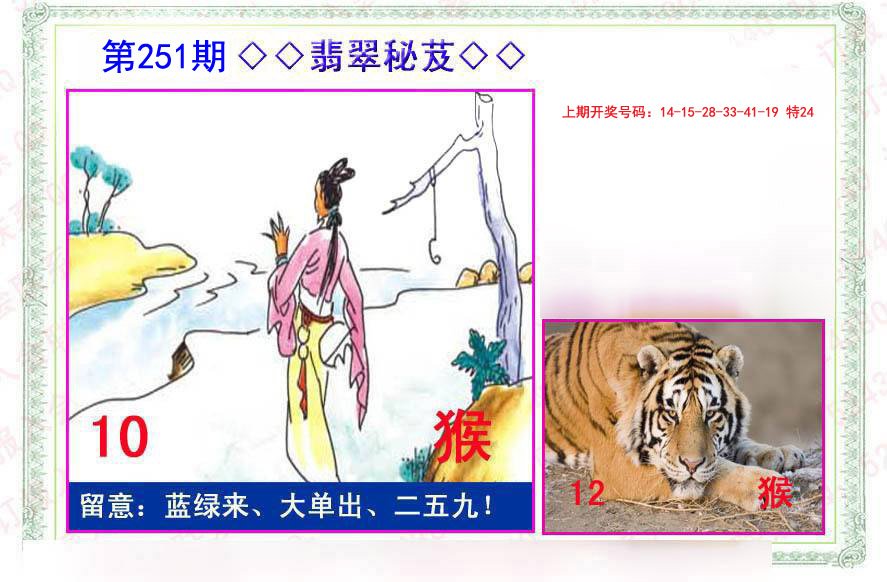 2024251期翡翠报