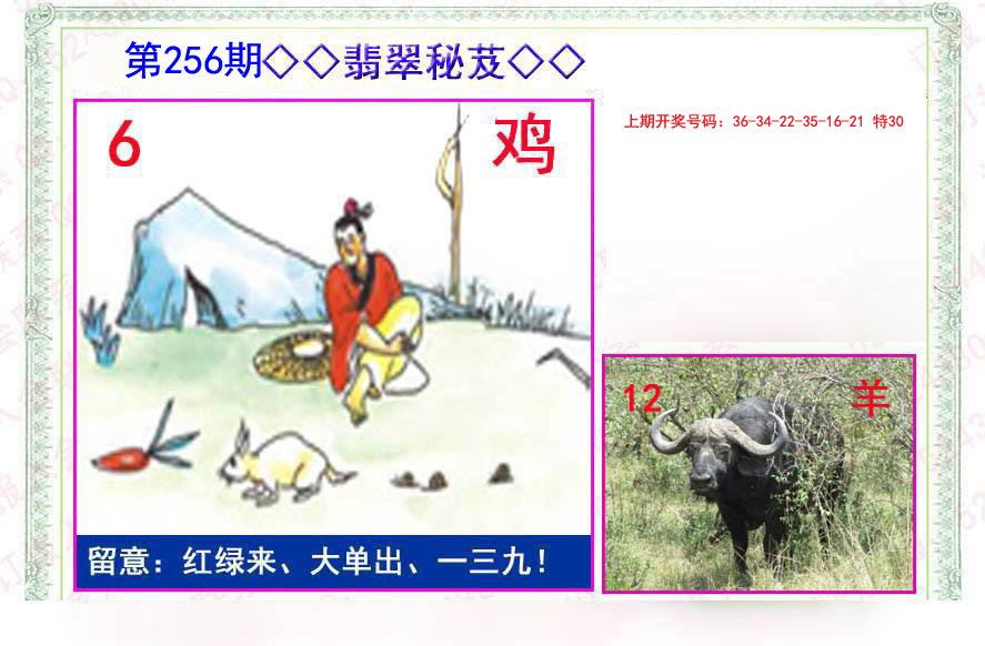 2024256期翡翠报