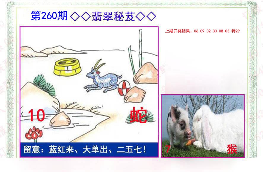 2024260期翡翠报
