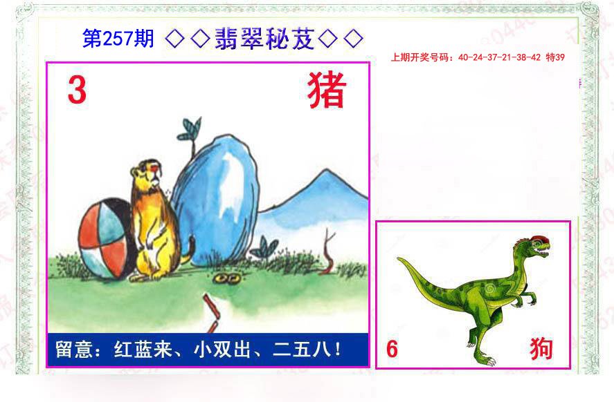 2024257期翡翠报
