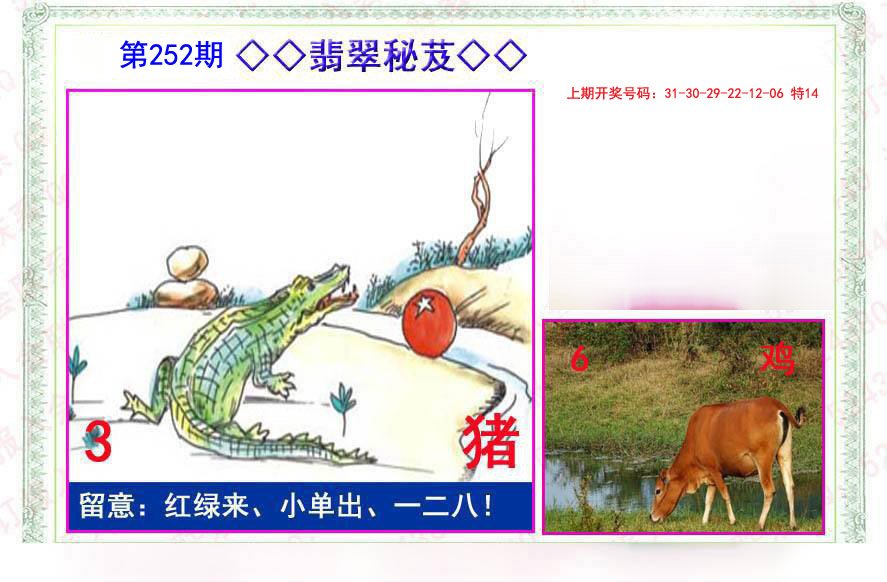 2024252期翡翠报