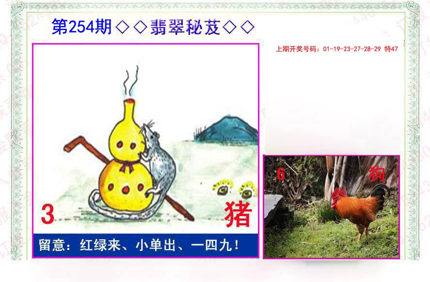 2024254期翡翠报