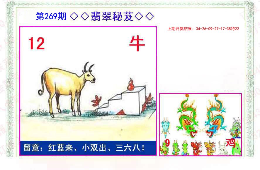 2024269期翡翠报