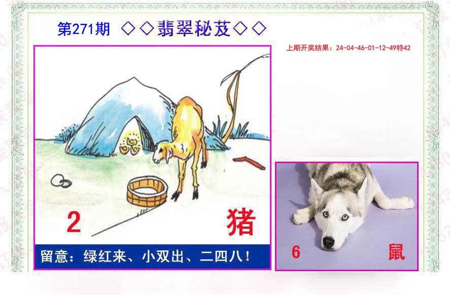 2024271期翡翠报
