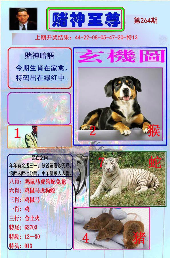 2024264期赌神至尊