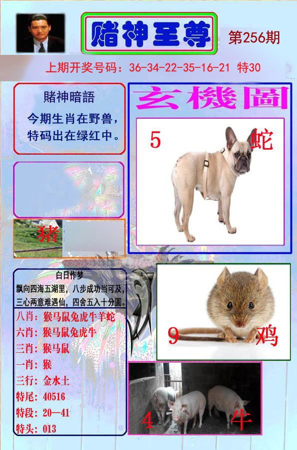 2024256期赌神至尊