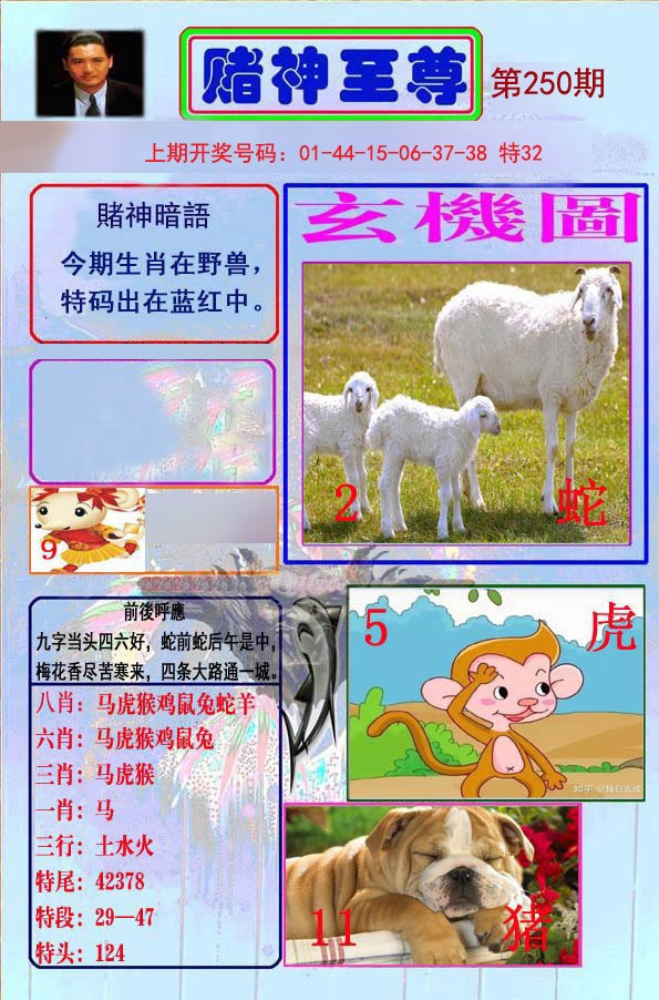 2024250期赌神至尊