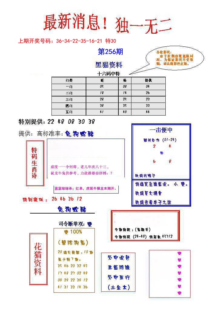 2024256期独一无二