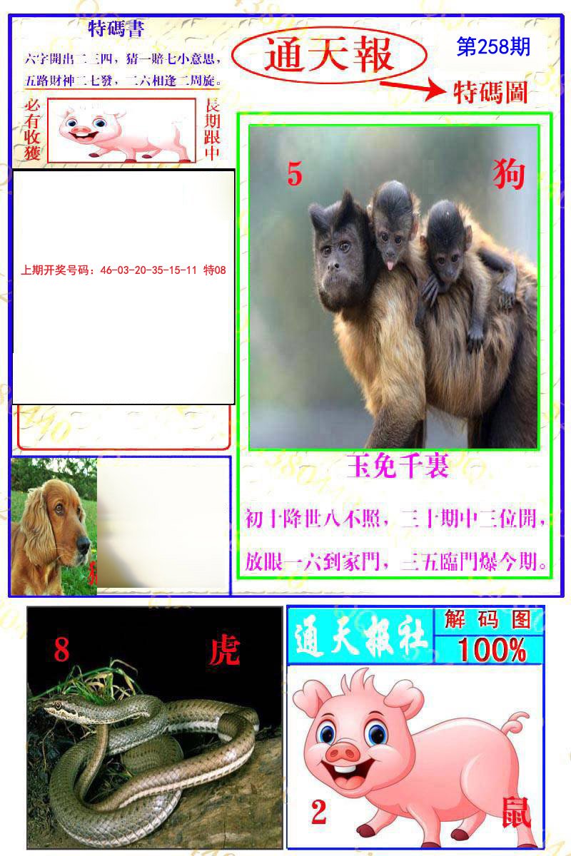 2024258期通天特解图