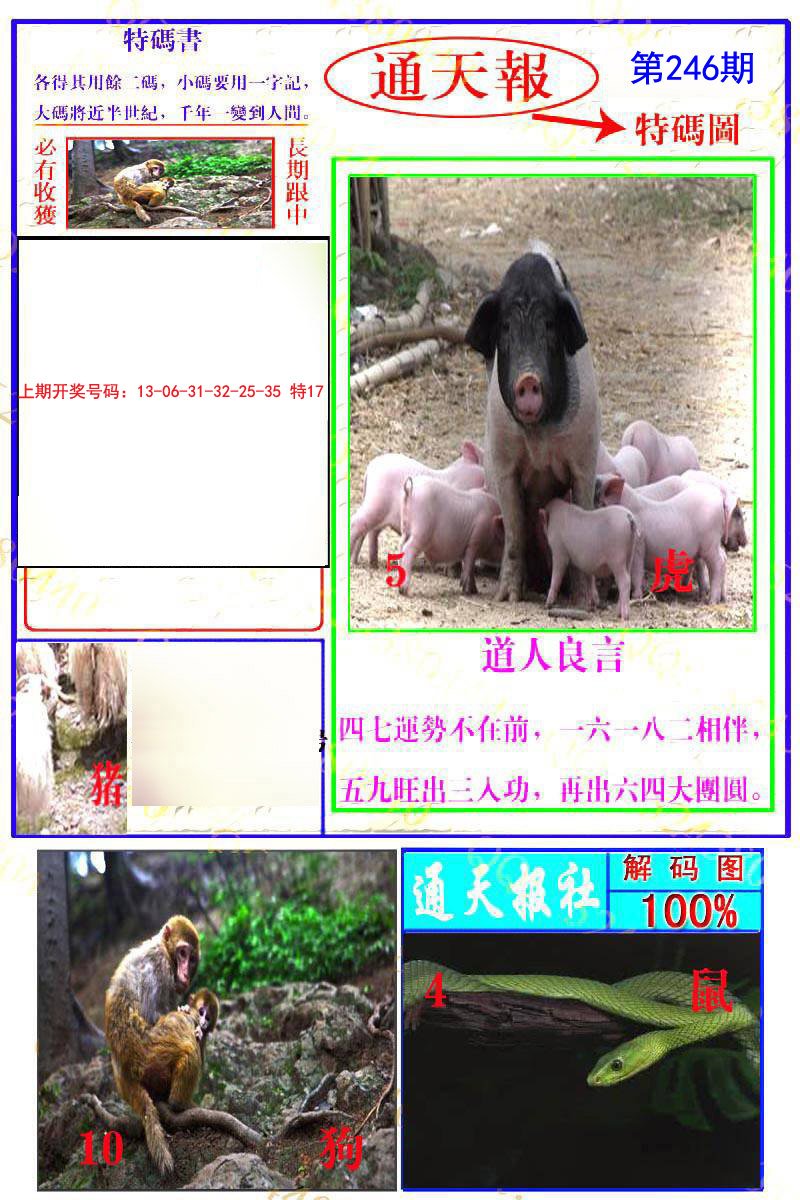 2024246期通天特解图