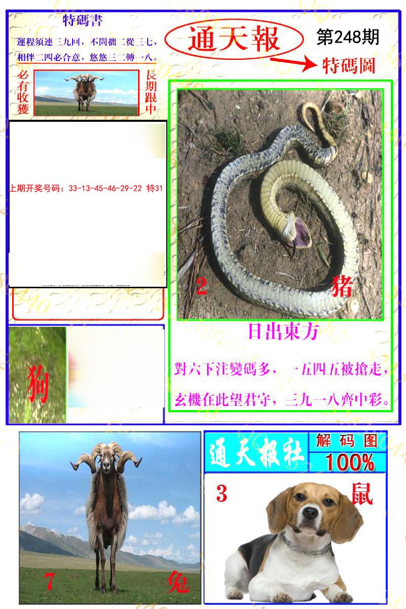 2024248期通天特解图