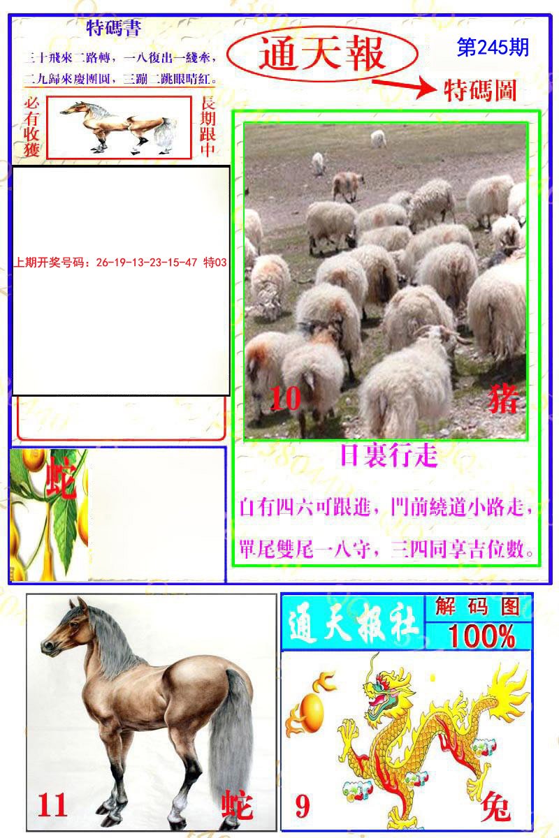 2024245期通天特解图