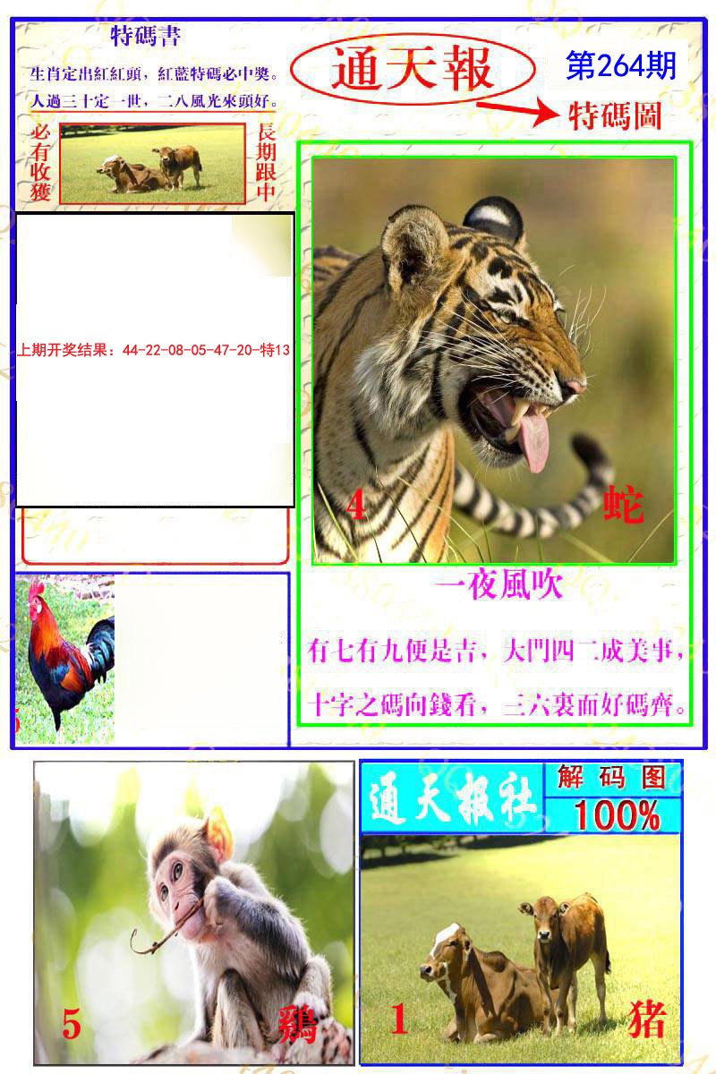 2024264期通天特解图