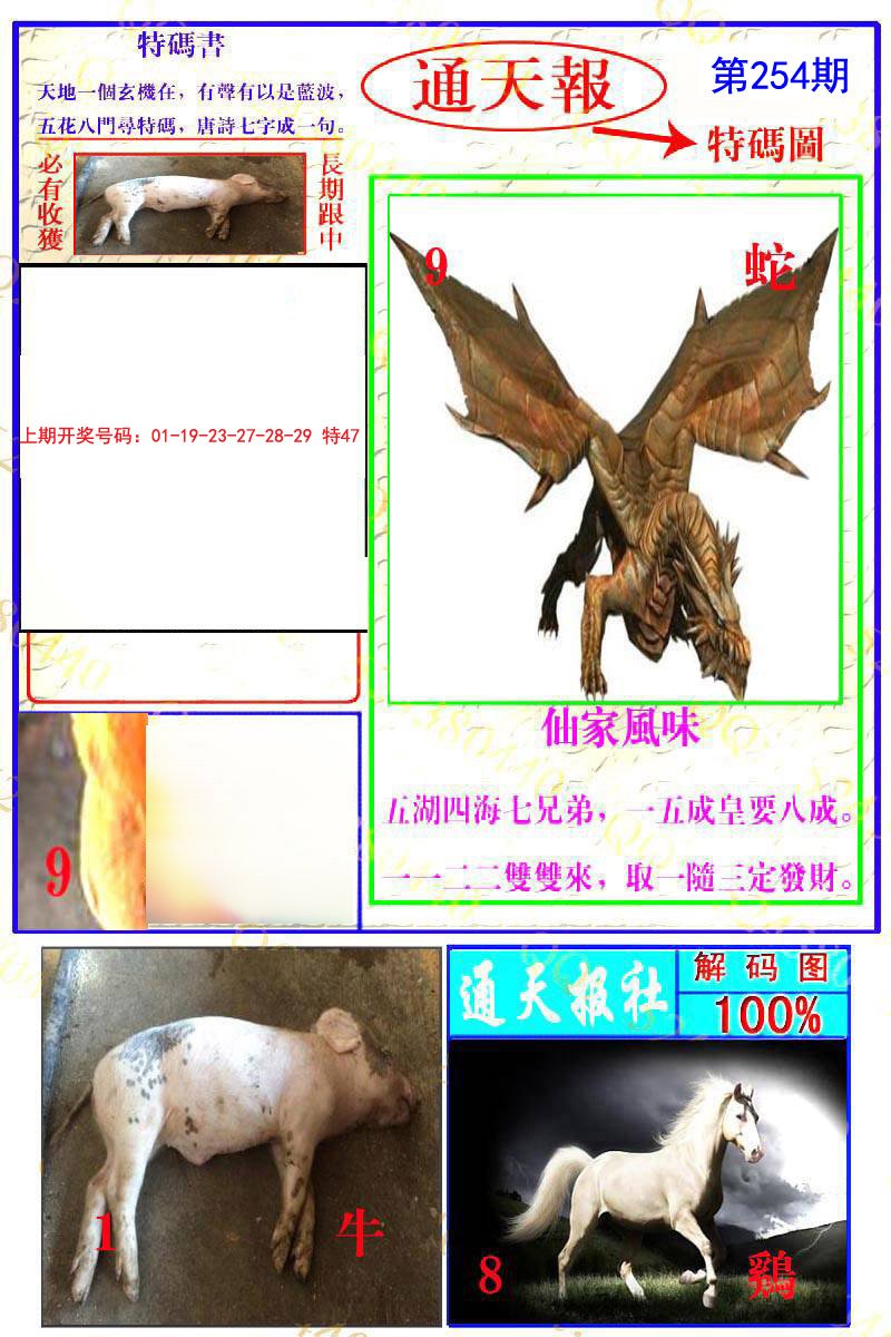 2024254期通天特解图