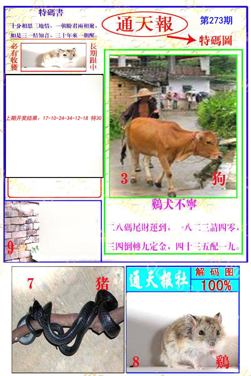 2024273期通天特解图