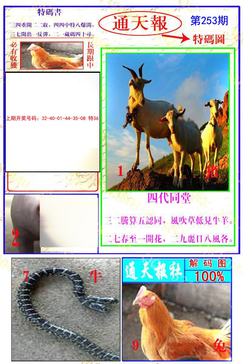 2024253期通天特解图