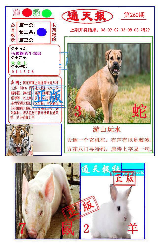 2024260期通天杀波图1