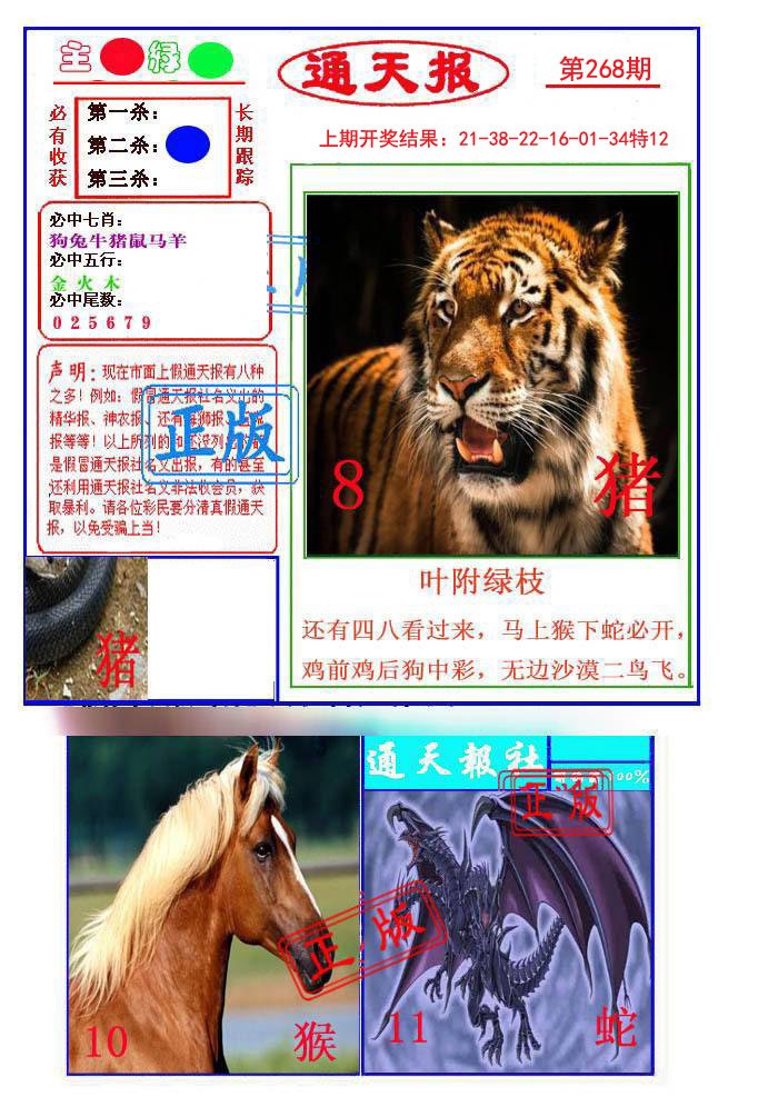 2024268期通天杀波图1