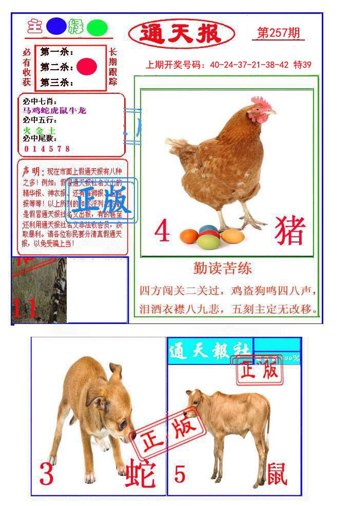 2024257期通天杀波图1