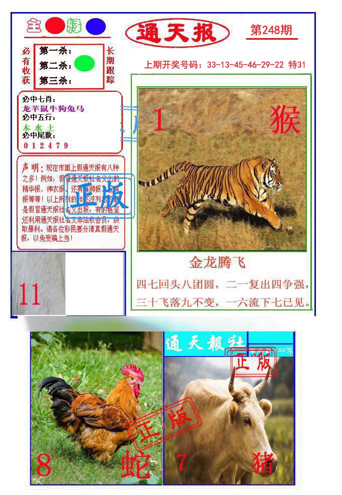 2024248期通天杀波图1