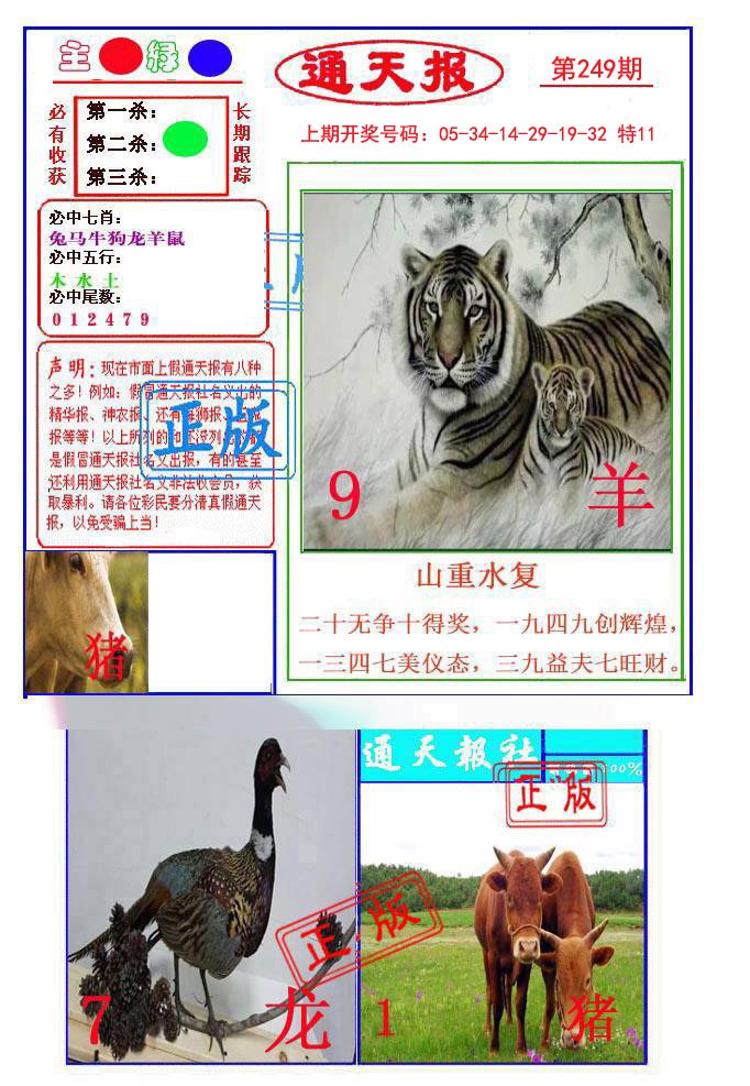 2024249期通天杀波图1