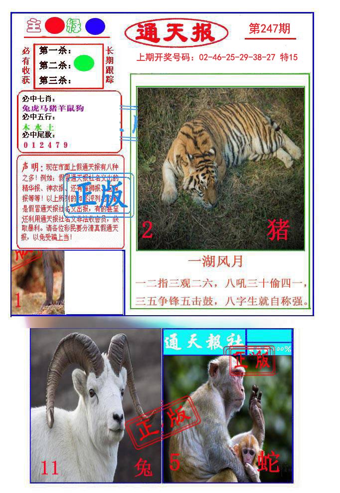 2024247期通天杀波图1