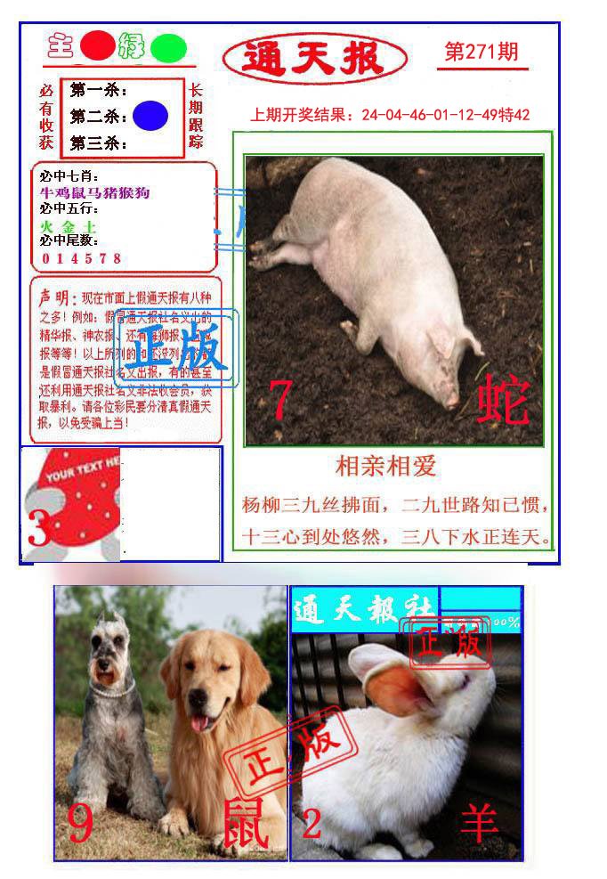 2024271期通天杀波图1