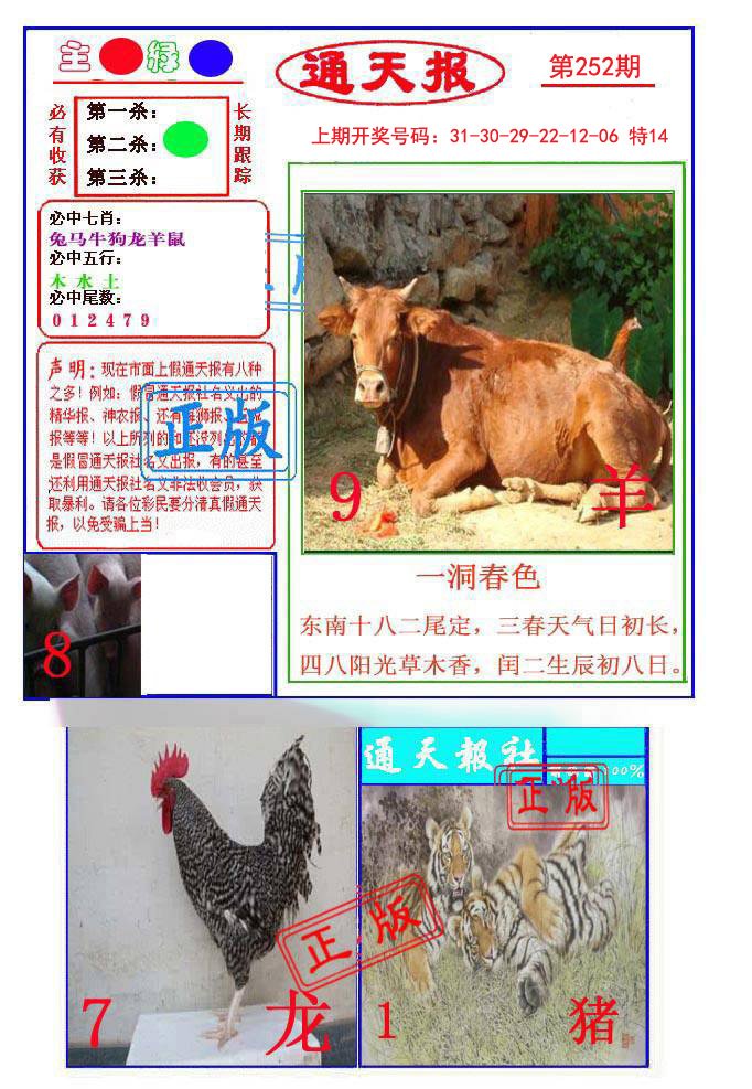 2024252期通天杀波图1