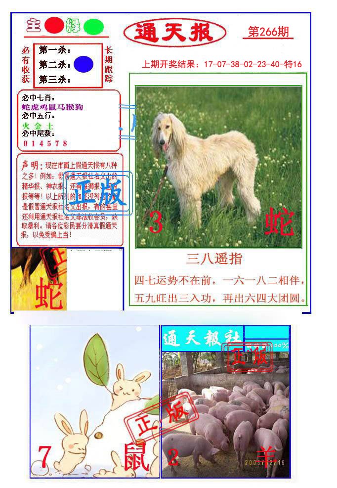 2024266期通天杀波图1