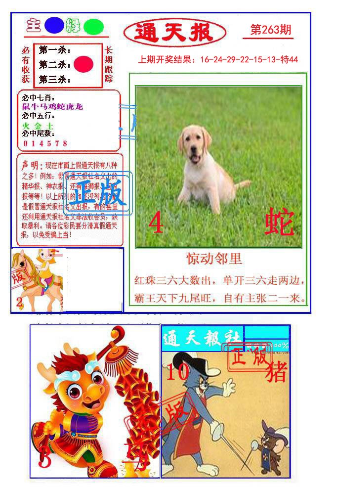 2024263期通天杀波图1