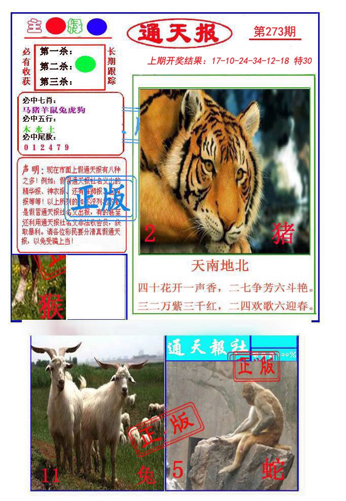 2024273期通天杀波图1