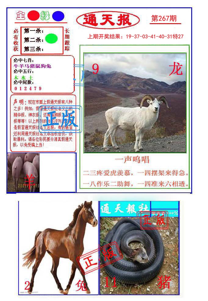 2024267期通天杀波图1