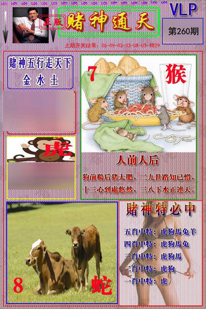 2024260期赌神通天报