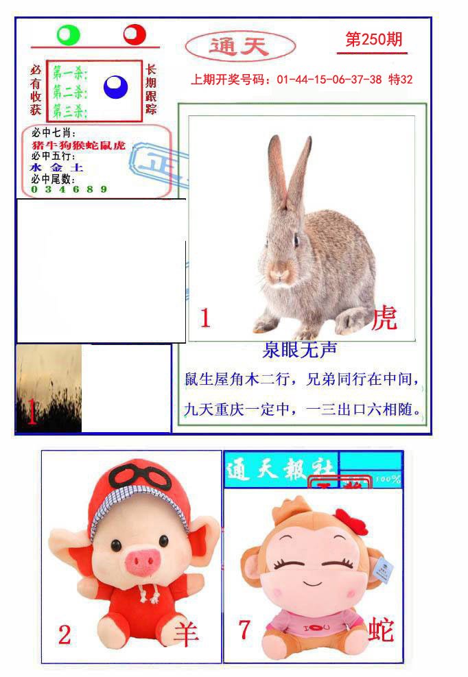 2024250期通天杀波图2