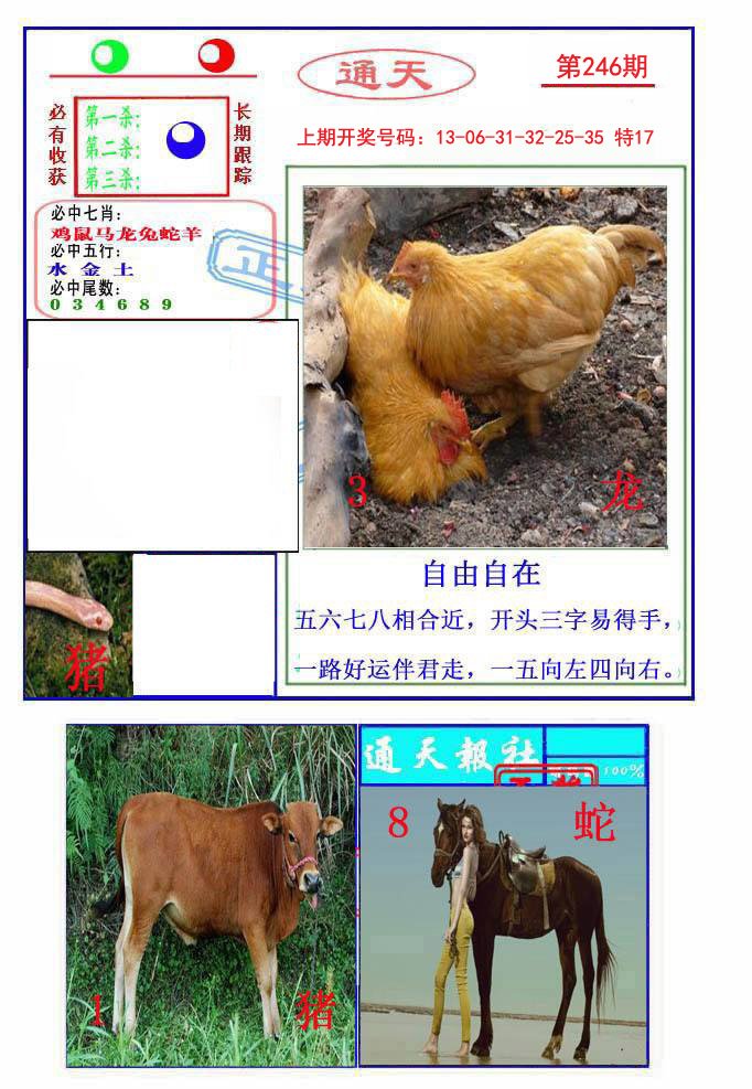 2024246期通天杀波图2