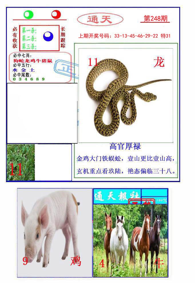 2024248期通天杀波图2