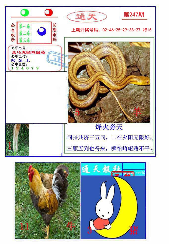 2024247期通天杀波图2