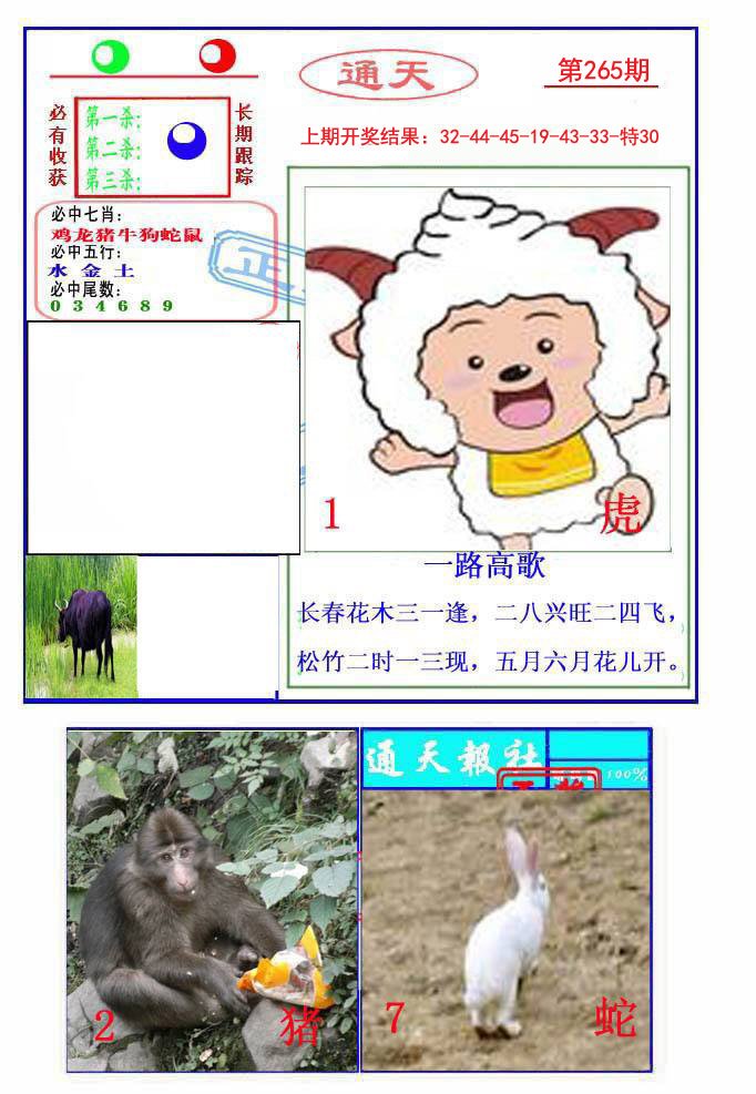 2024265期通天杀波图2