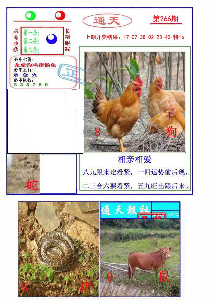 2024266期通天杀波图2