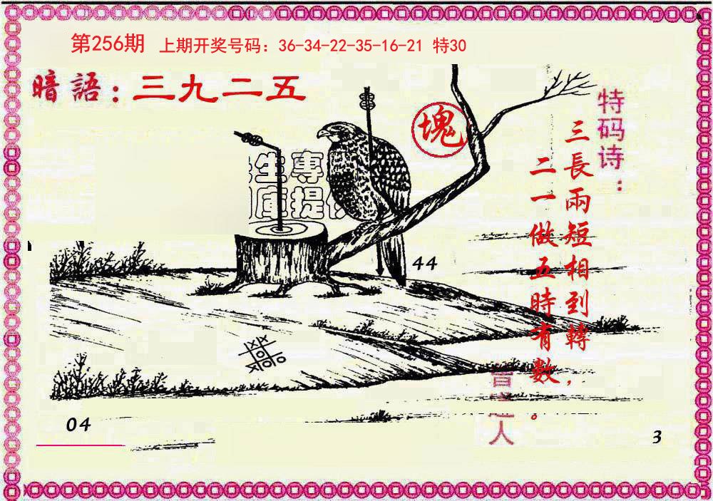 2024256期新暗语报