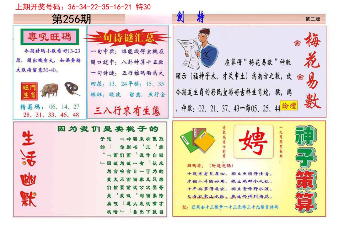 2024256期九龍创特B(推荐)