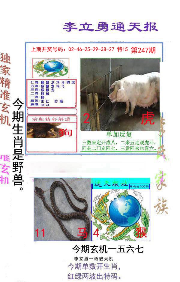2024247期李立勇通天报