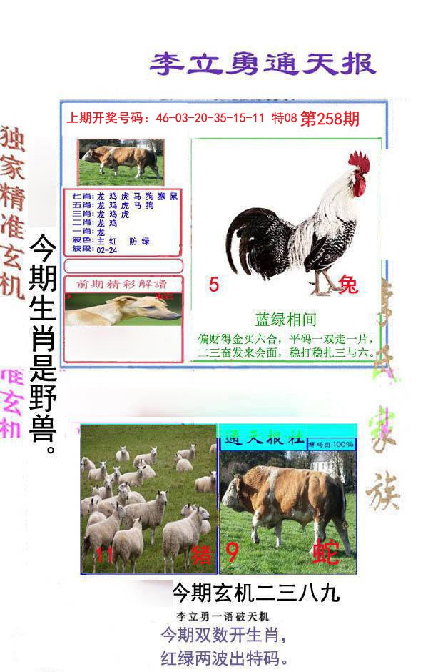 2024258期李立勇通天报