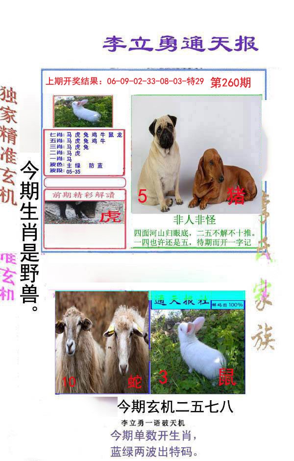 2024260期李立勇通天报
