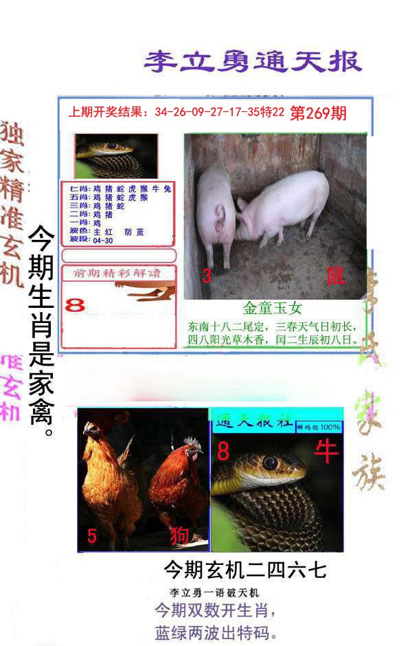 2024269期李立勇通天报