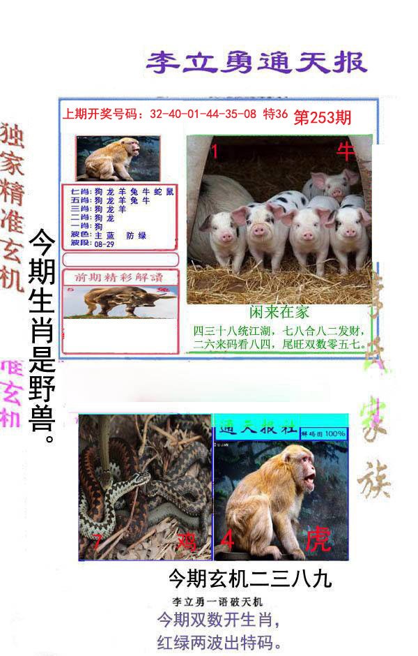 2024253期李立勇通天报