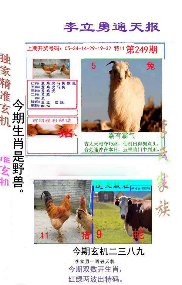 2024249期李立勇通天报