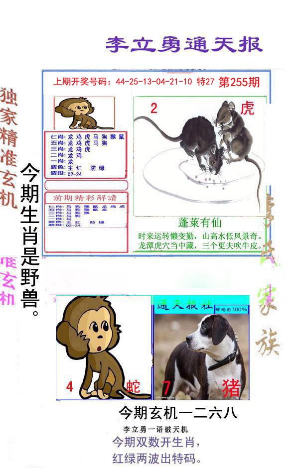 2024255期李立勇通天报