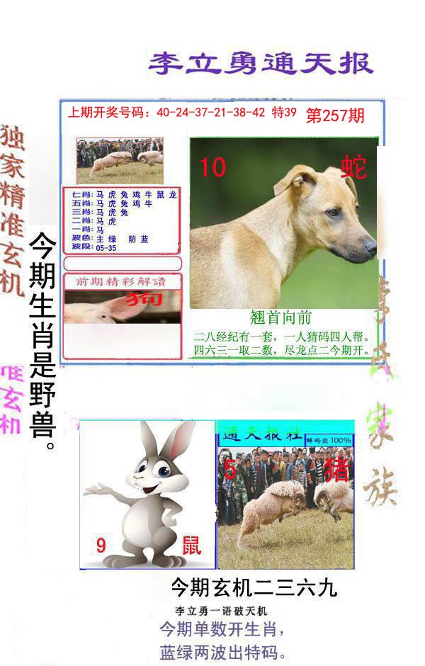 2024257期李立勇通天报