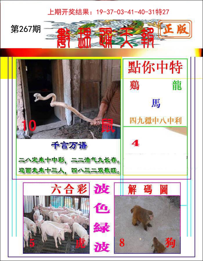 2024267期数理通天